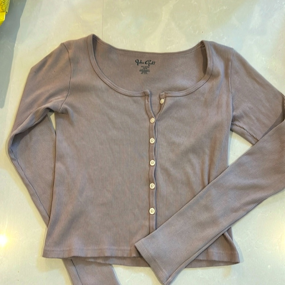 Brandy Melville Long Sleeve Dusty Purple Crop Top